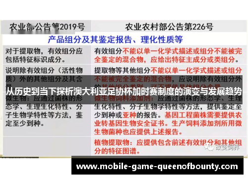 从历史到当下探析澳大利亚足协杯加时赛制度的演变与发展趋势