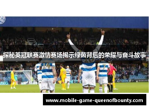 探秘英冠联赛激情赛场揭示绿茵背后的荣耀与奋斗故事