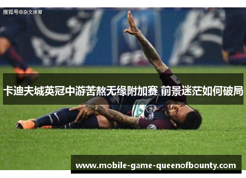 卡迪夫城英冠中游苦熬无缘附加赛 前景迷茫如何破局